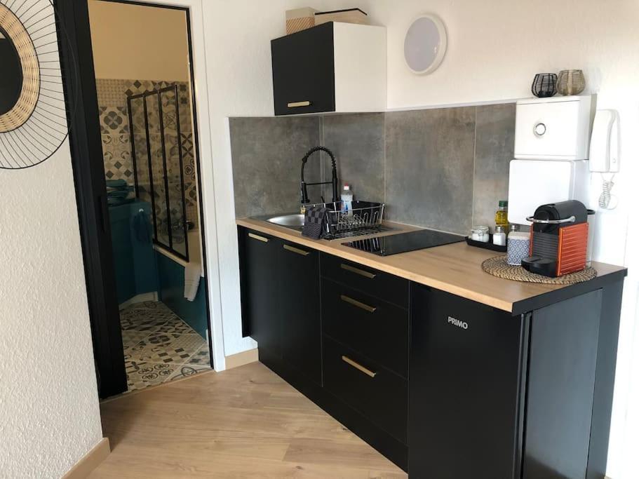 Studio Moderne, Terrasse Et Parking Romans-sur-Isere Bagian luar foto